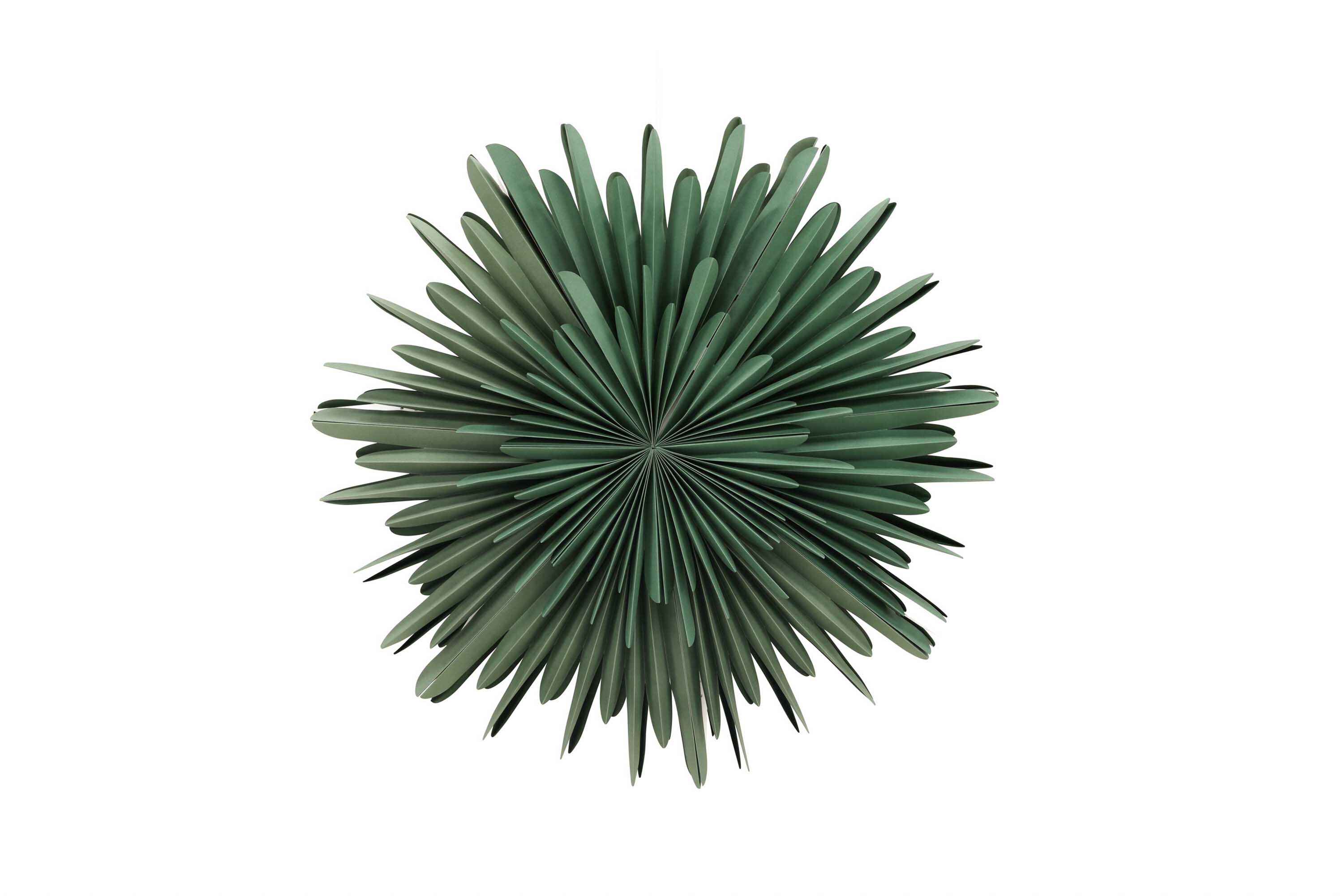 Sälen adventsstjärna