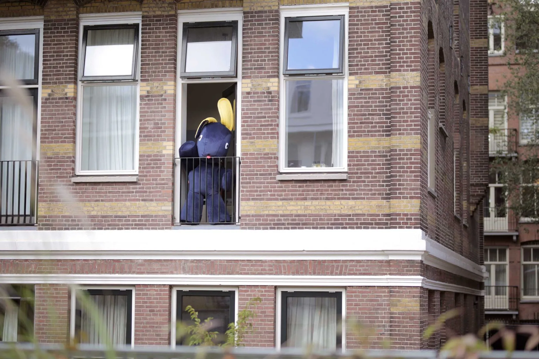 CO9 XS Velvet Sittpuff