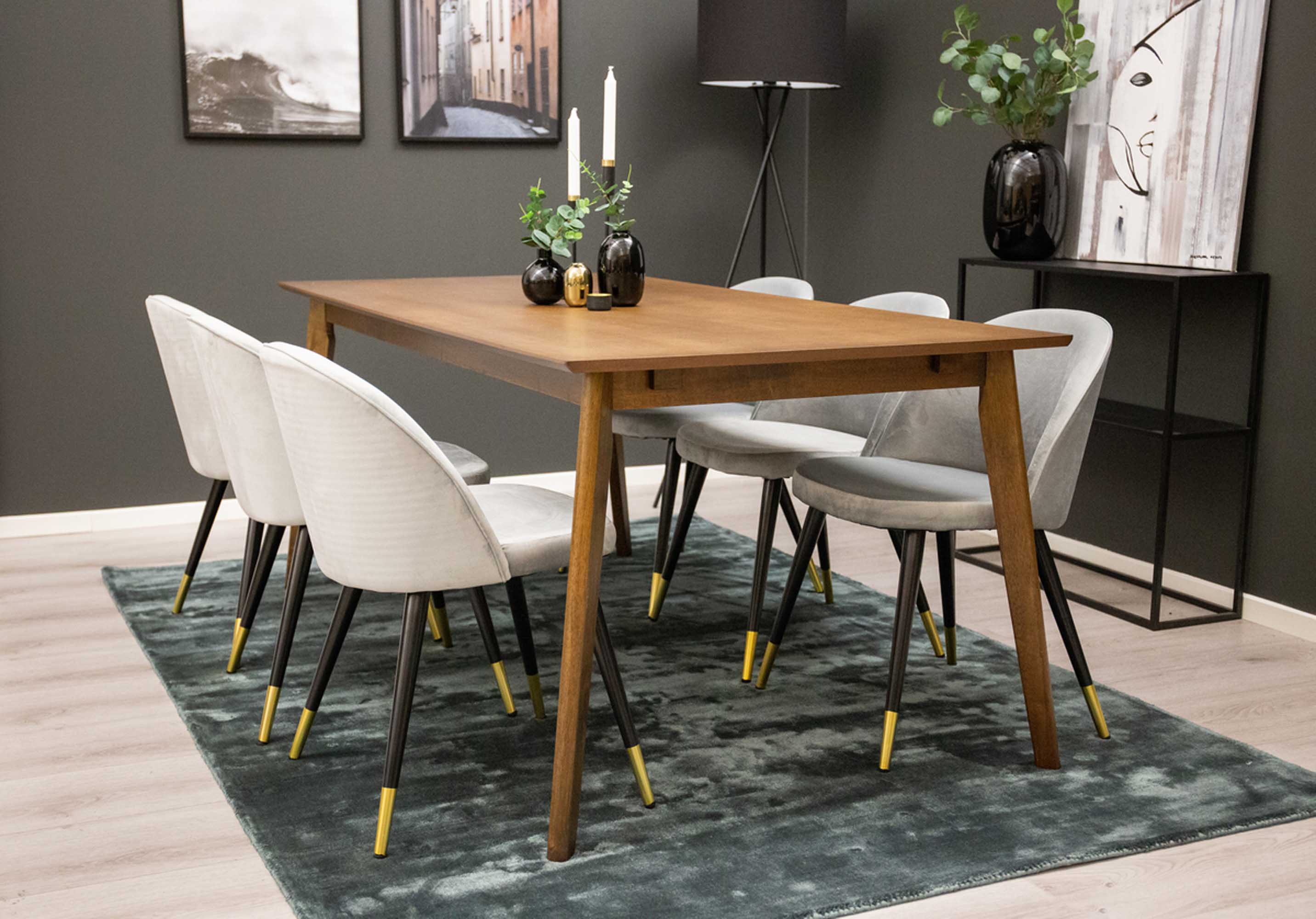 velvet-venture-design