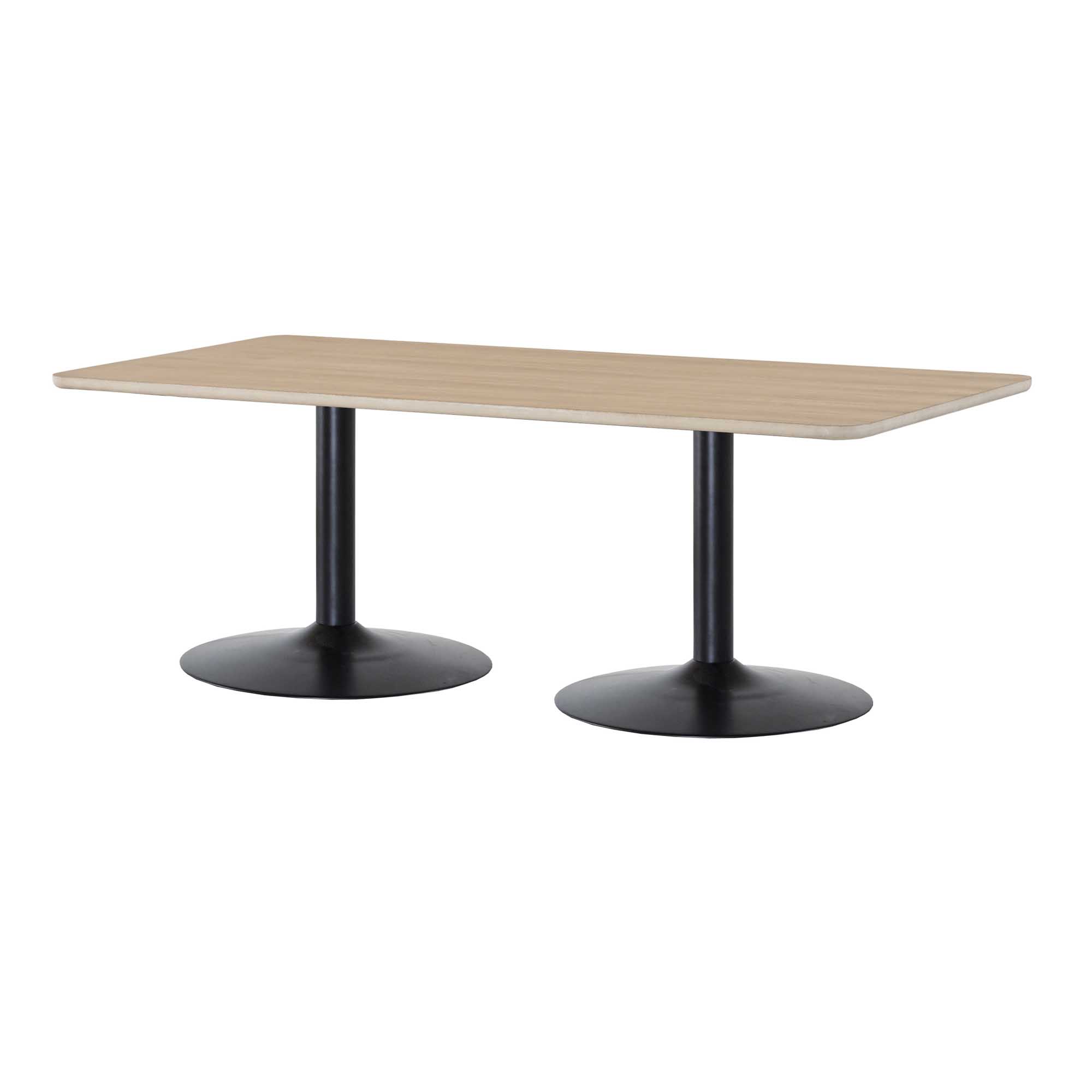 Torkelson David matbord Vitoljad ek 210 x 100 cm