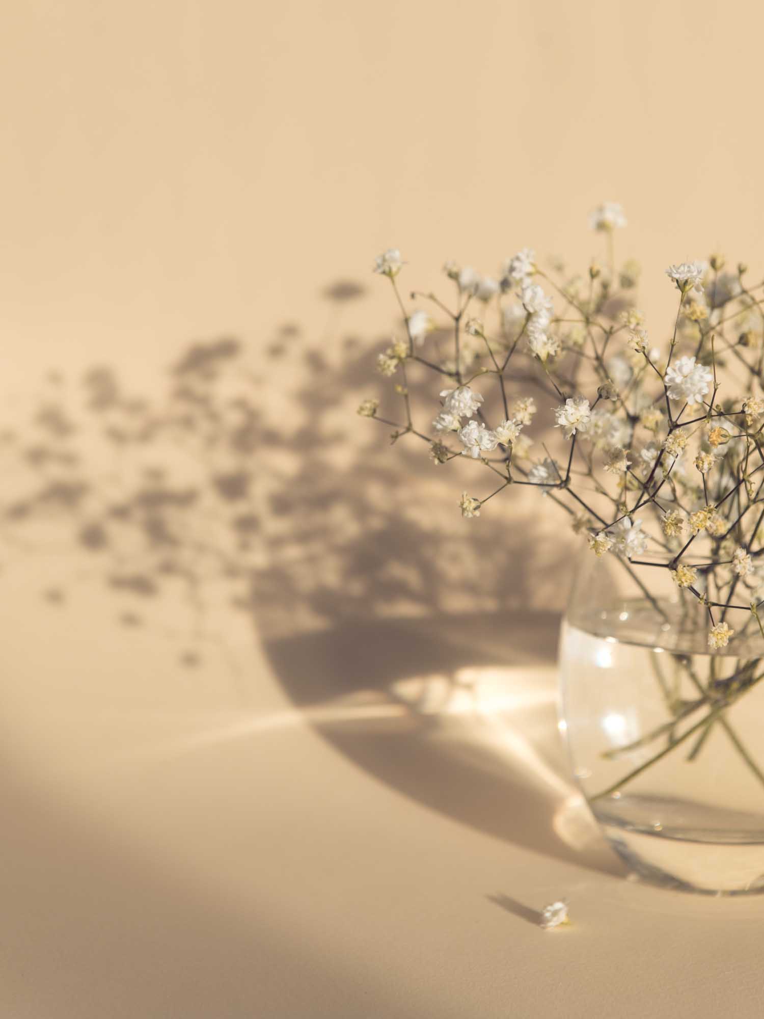 Venture Design White flowers poster 30 x 40 cm Beige